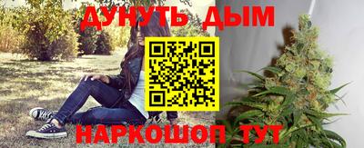 стаф Камышлов