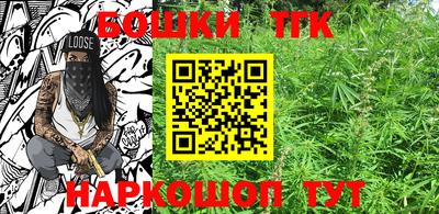 стаф Камышлов